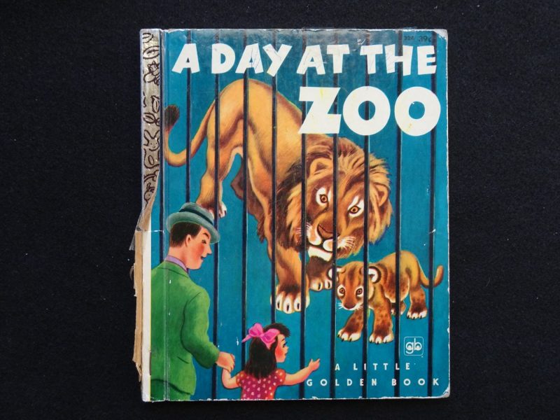 a day at the zoo book